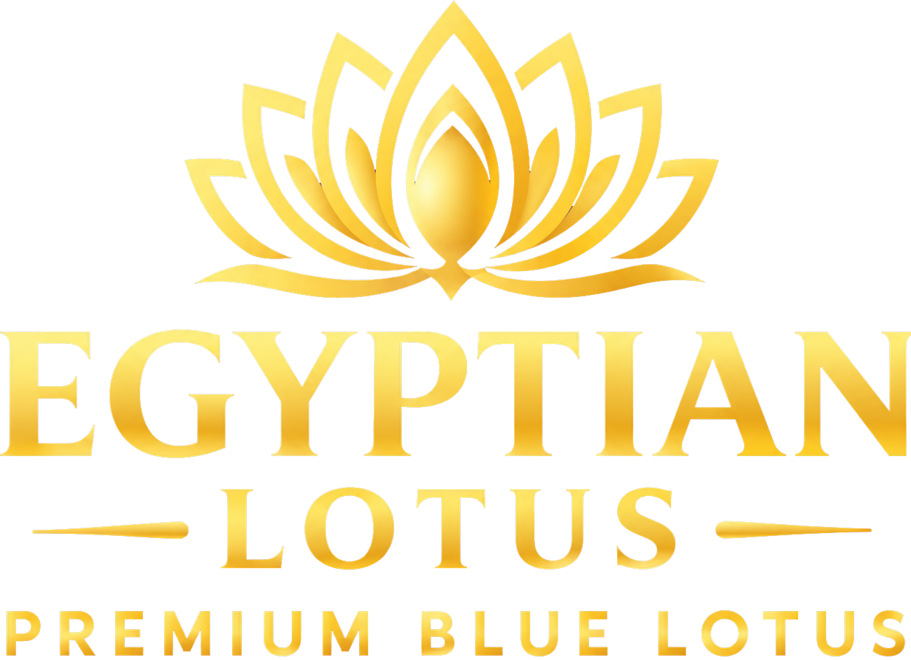 Egyptian Lotus